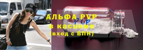 стаф Гусев