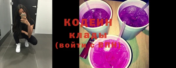 стаф Гусев