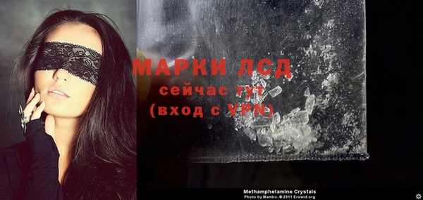 стаф Гусев