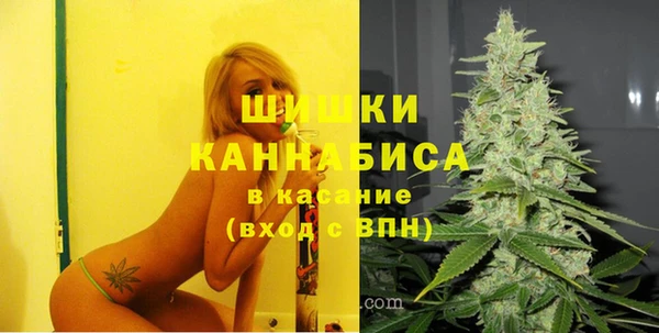 Альфа ПВП Гусиноозёрск